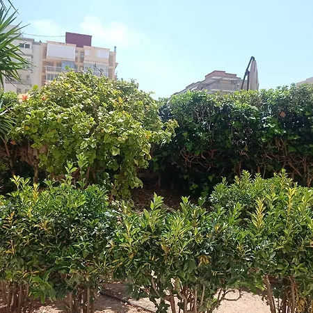 Albatros Solo Familias Serviplaya Appartement