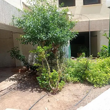 Albatros Solo Familias Serviplaya Appartement Playa de Gandia